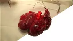 ##IMAGE##