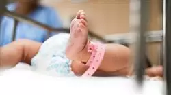 ##IMAGE##