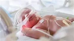 ##IMAGE##