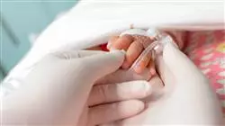 ##IMAGE##