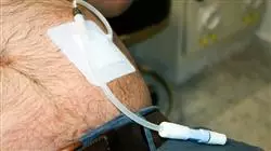 ##IMAGE##