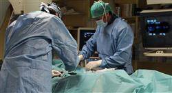 diplomado online gestión y organización en terapia guiada por la imagen