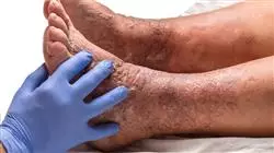 ##IMAGE##