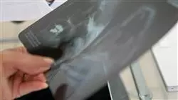 ##IMAGE##