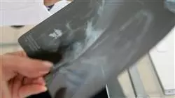 ##IMAGE##