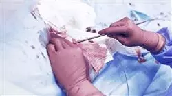 ##IMAGE##