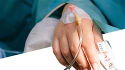 magister alergologia pediatrica