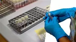 ##IMAGE##