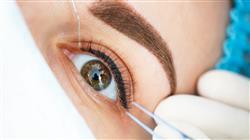 experto universitario patologia palpebral oculoplastia orbita vias lagrimales