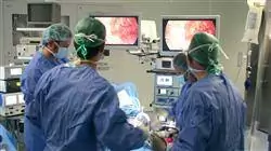 curso patologia quirurgica suprarrenal retroperitoneo
