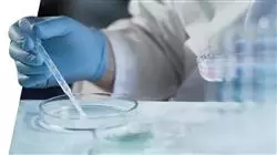##IMAGE##