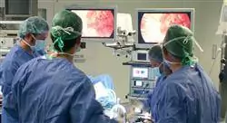 diplomado online patología quirúrgica del tracto urinario superior