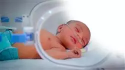 ##IMAGE##