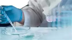 ##IMAGE##