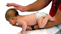 ##IMAGE##