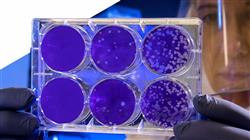 especializacion online antibioticoterapia