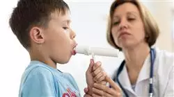##IMAGE##
