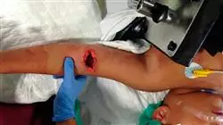 ##IMAGE##
