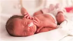 ##IMAGE##