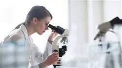 ##IMAGE##