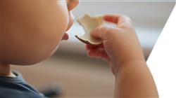 cursos nutricion infancia patologias tracto digestivo endocrino metabolicas die