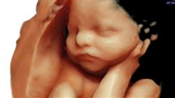 maestria medicina fetal diagnostico prenatal