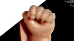 ##IMAGE##