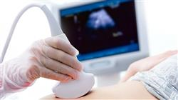 experto online diagnostico prenatal