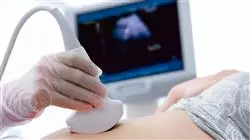 maestria ecografia obstetrica ginecologica