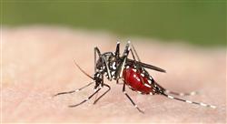 estudiar antivirales antimicóticos antiparasitarios y el desarrollo de la resistencia antibiótica