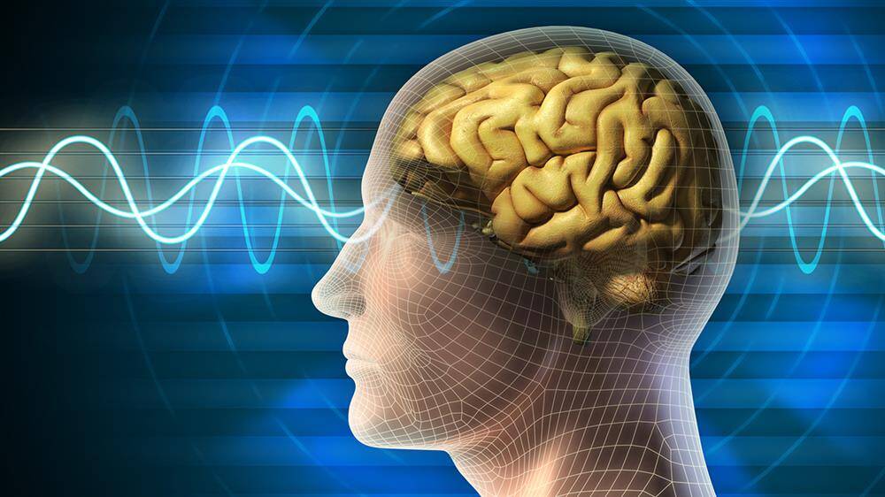 f bases neurofisiologicas relajacion meditacion yoga terapeutico medicina