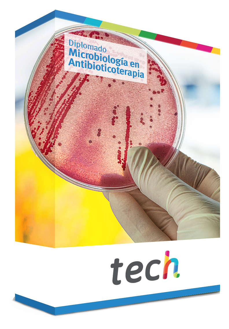 diplomado microbiologia antibioticoterapia caja