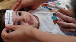 ##IMAGE##