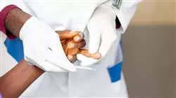 ##IMAGE##