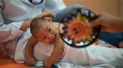 especializacion online avances neurologia prenatal neonatal errores metabolismo pediatria 