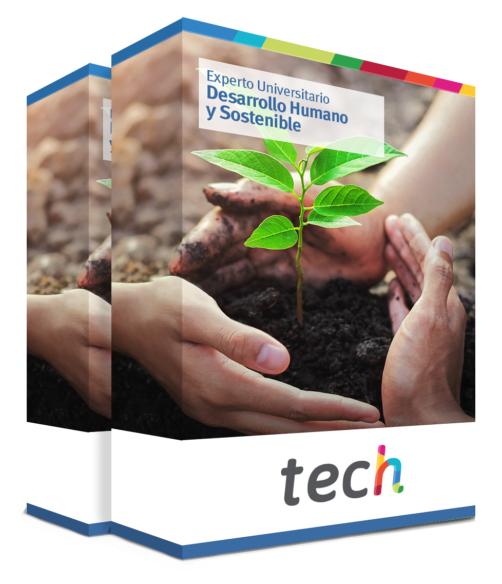 especializacion desarrollo humano sostenible caja