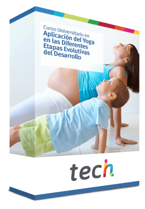diplomado yoga etapas desarrollo caja