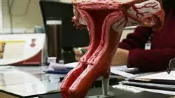 ##IMAGE##