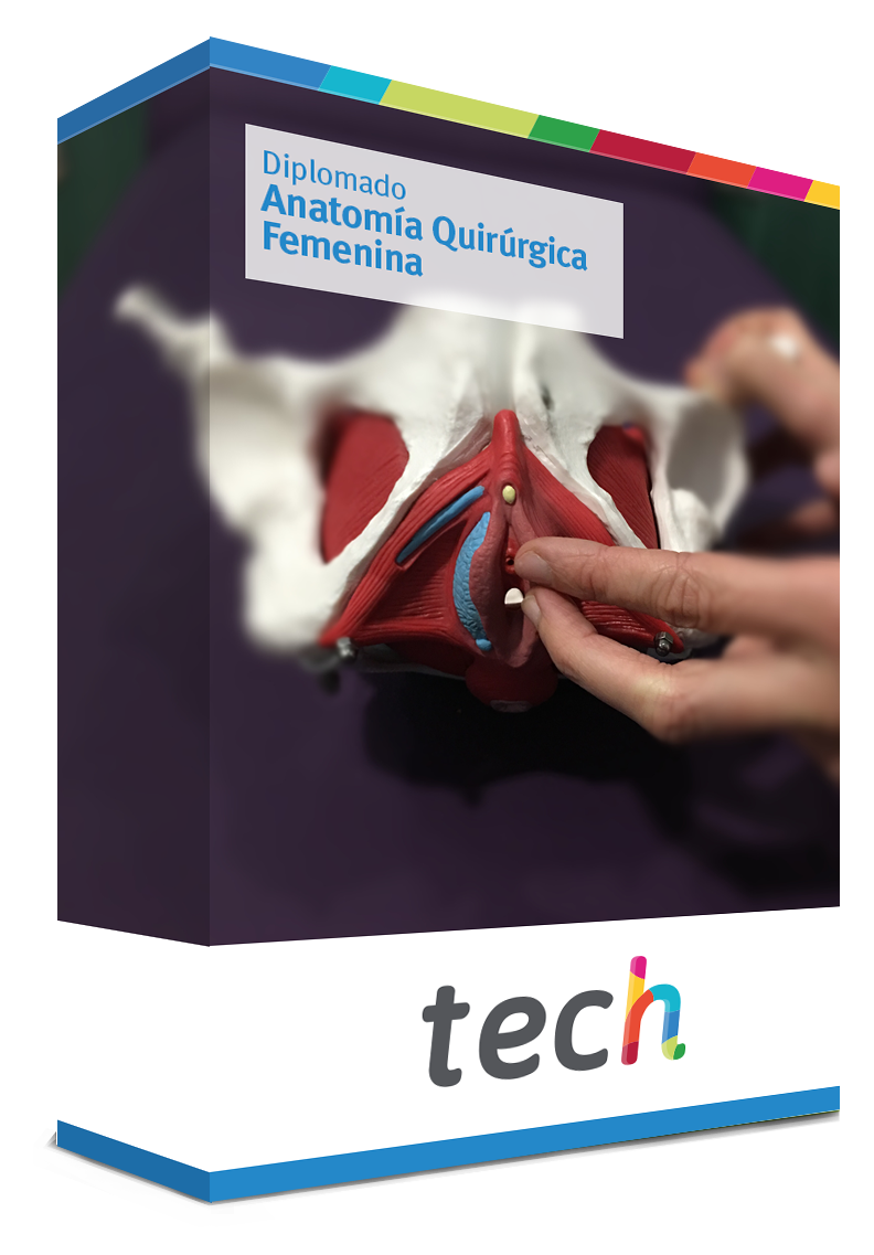 diplomado anatomia quirurgica femenina caja