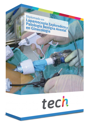 diplomado laparoscopia exploradora patologia benigna anexial ginecologia caja