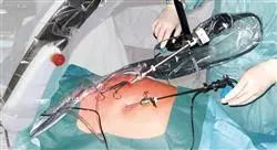 diplomado entrenamiento general en cirugía mínimamente invasiva ginecológica