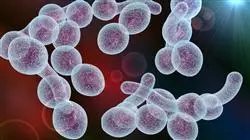 diplomado online avances antimicrobianos