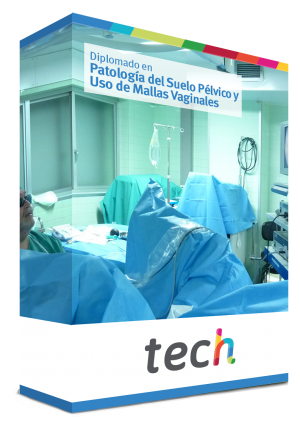 diplomado patologia suelo pelvico uso mallas vaginales caja
