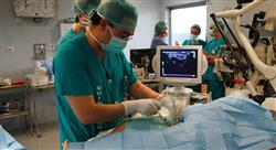formacion cirugía anestesia y cuidados intensivos de las cardiopatías congénitas