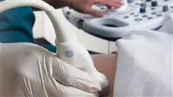 ##IMAGE##