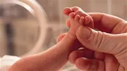##IMAGE##