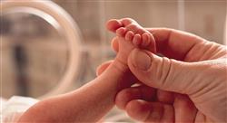 diplomado avances en neurología prenatal y neonatal
