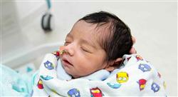 formacion avances en neurología prenatal y neonatal