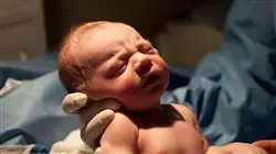 ##IMAGE##