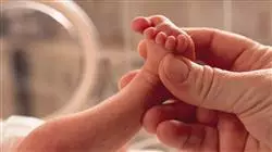 ##IMAGE##